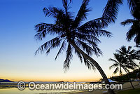 Coconut Palm Beach sunset Photo - Gary Bell