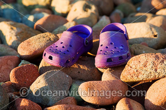 florida beach scenes. Hayman Island, Whitsunday