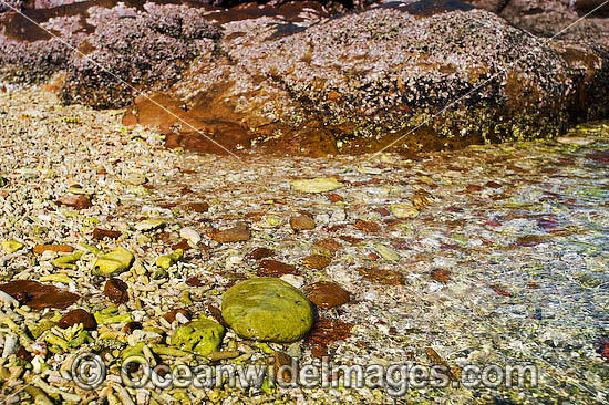 Hayman Island, Whitsunday 2011