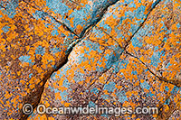 Beach rock Hayman Island Photo - Gary Bell