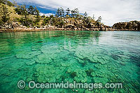 Coral reef coastal Whitsundays Photo - Gary Bell