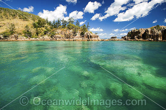 Coral reef coastal Whitsundays photo
