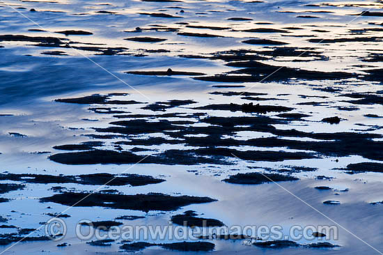 sunset reflection surface photo