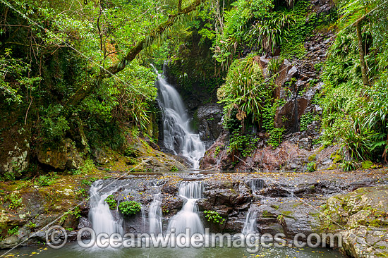 Elabana Falls Lamington National Park photo