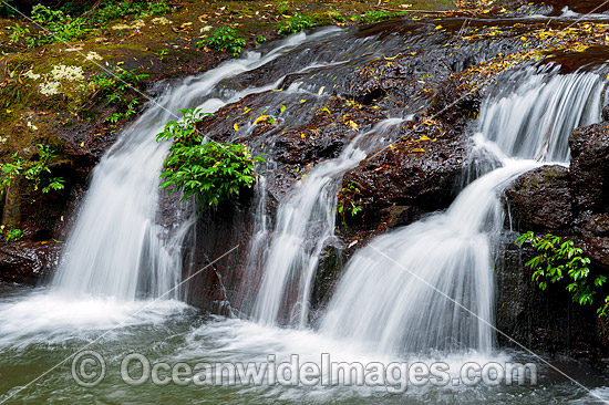 Elabana Falls Lamington National Park photo