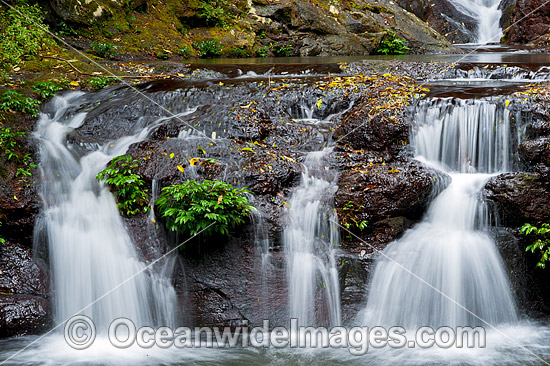Rainforest waterfall, Elabana Falls, situated in sub-tropical rainforest. Lamington World Heritage National Park, Queensland, Australia. Photo - Gary Bell Rainforest waterfall, Elabana Falls, situated in sub-tropical rainforest. Lamington World Heritage National Park, Queensland, Australia. Photo - Gary Bell
