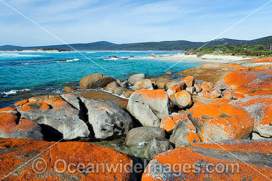 Holloway Point Flinders Island photo