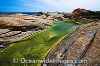 Flinders Island Photo - Gary Bell