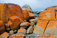 Holloway Point Flinders Island Photo - Gary Bell