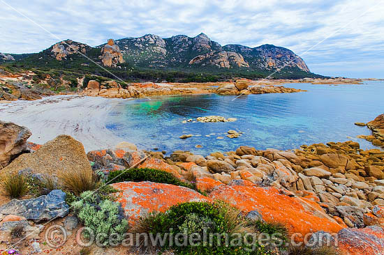 The Dock, an extensive lichen (Caloplaca sp.) covered granite boulder coastline, with Mount Killiecrankie in distant background. Flinders Island, Tasmania, Australia Photo - Gary Bell