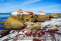 Flinders Island Photo - Gary Bell