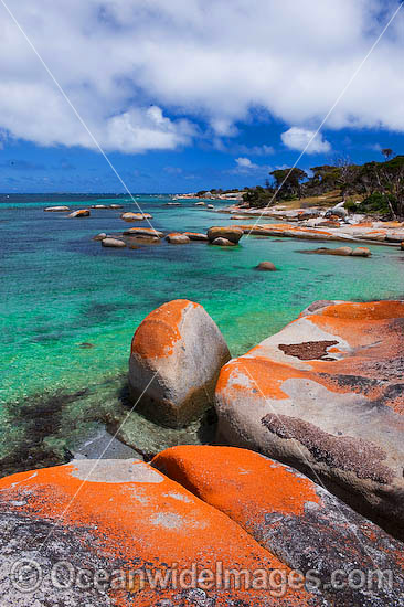 Sawyers Beach Flinders Island photo