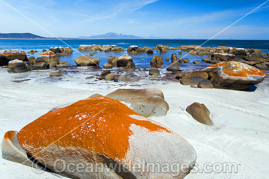 Sawyers Beach Flinders Island photo Sawyers Beach Flinders Island photo