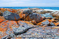 Flinders Island Photo - Gary Bell