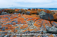 Flinders Island Tasmania Photo - Gary Bell