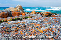 Flinders Island Tasmania Photo - Gary Bell