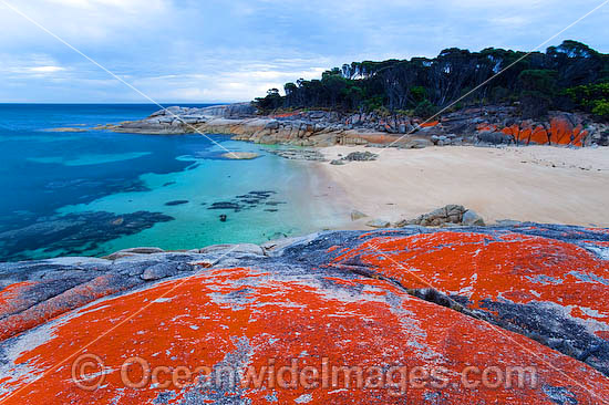 Trousers Point Cove Flinders Island photo Trousers Point Cove Flinders Island photo