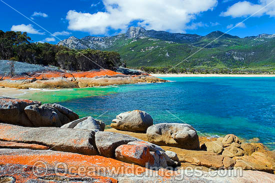 Trousers Point Cove, showing extensive lichen (Caloplaca sp.) covered granite boulder coastline with Strezlecki National Park granite peaks in background. Flinders Island, Tasmania, Australia Photo - Gary Bell