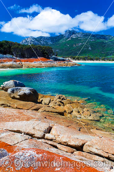 Trousers Point Cove, showing extensive lichen (Caloplaca sp.) covered granite boulder coastline with Strezlecki National Park granite peaks in background. Flinders Island, Tasmania, Australia Photo - Gary Bell