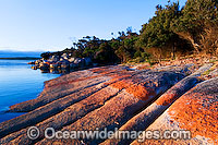 Yellow Beach Tasmania Photo - Gary Bell