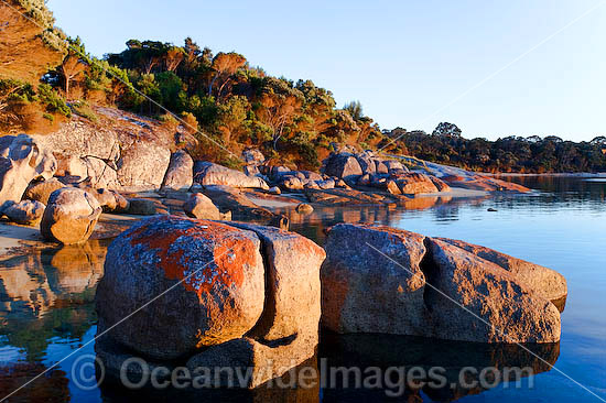 Yellow Beach, showing extensive lichen (Caloplaca sp.) covered granite boulder coastline. Flinders Island, Tasmania, Australia Photo - Gary Bell