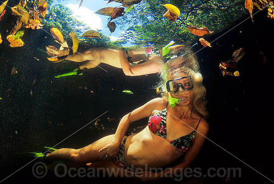 Woman exploring a freshwater river with snorkeling equipment. Mulgrave River, near Cairns, north Queensland, Australia Photo - Bob Halstead Woman exploring a freshwater river with snorkeling equipment. Mulgrave River, near Cairns, north Queensland, Australia Photo - Bob Halstead