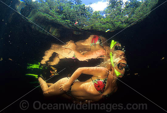 Snorkelling Mulgrave River photo