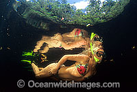 Snorkelling Mulgrave River Photo - Bob Halstead