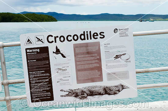 Estuarine Crocodile (Crocodylus porosus) Warning Sign. Horn Island, Torres Strait, Queensland, Australia Photo - Gary Bell