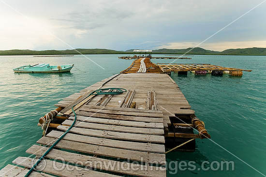 Kazu Pearl Farm jetty with floating platforms at end and side, used for hanging mesh grids that hold live pearl oyster. Friday Island, Torres Strait, Queensland, Australia Photo - Gary Bell Kazu Pearl Farm jetty with floating platforms at end and side, used for hanging mesh grids that hold live pearl oyster. Friday Island, Torres Strait, Queensland, Australia Photo - Gary Bell