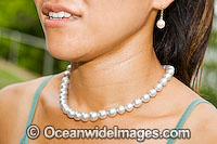 Oyster Pearl string necklace Photo - Gary Bell