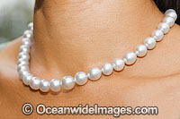 Oyster Pearl necklace Photo - Gary Bell