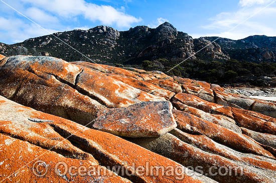 Trousers Point, with lichen (Caloplaca sp.) covered granite boulders in foregound and Strezlecki National Park granite peaks in background. Flinders Island, Tasmania, Australia Photo - Gary Bell