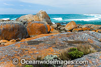 Flinders Island Tasmania Photo - Gary Bell