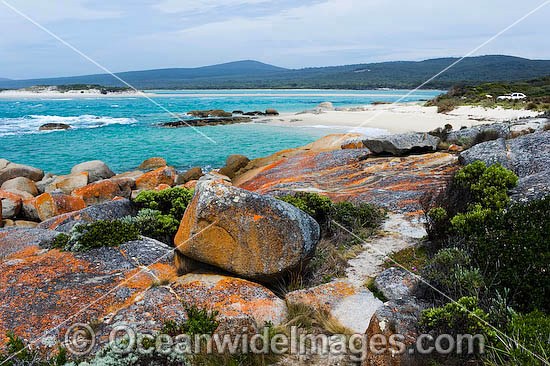 Holloway Point, an extensive lichen (Caloplaca sp.) covered granite boulder coastline. Flinders Island, Tasmania, Australia Photo - Gary Bell