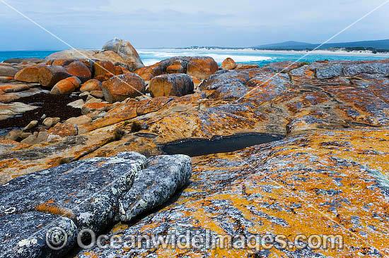 Flinders Island Tasmania photo