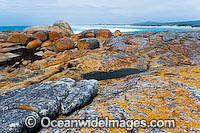 Flinders Island Tasmania Photo - Gary Bell