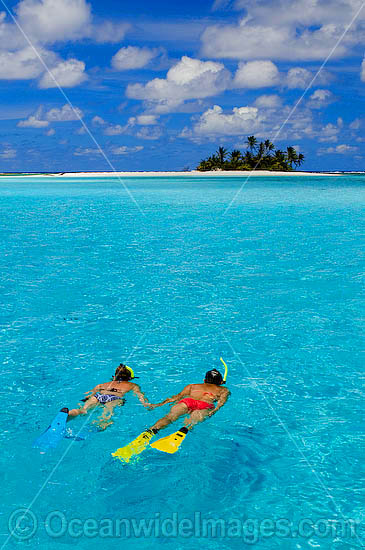 Snorkelers Cocos Island photo Snorkelers Cocos Island photo