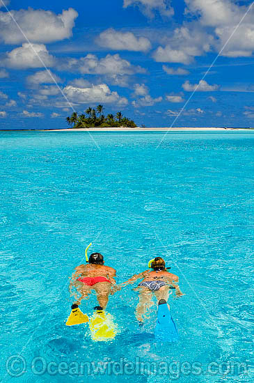 Snorkeling around palm island photo