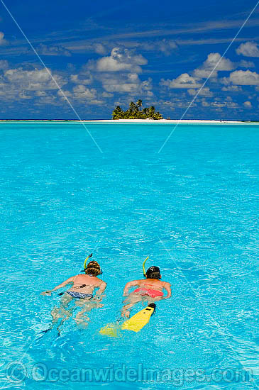 Snorkel divers exploring crystal clear lagoon water surrounding a tropical coconut palm fringed island. Cocos (Keeling) Islands, Indian Ocean, Australia Photo - Gary Bell Snorkel divers exploring crystal clear lagoon water surrounding a tropical coconut palm fringed island. Cocos (Keeling) Islands, Indian Ocean, Australia Photo - Gary Bell
