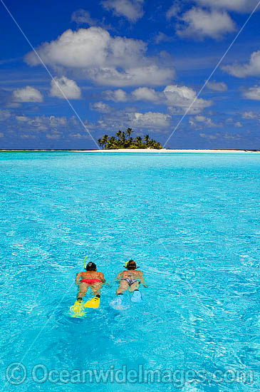 Snorkeling at tropical Island photo