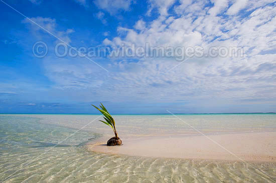 tropical beach Cocos Islands photo