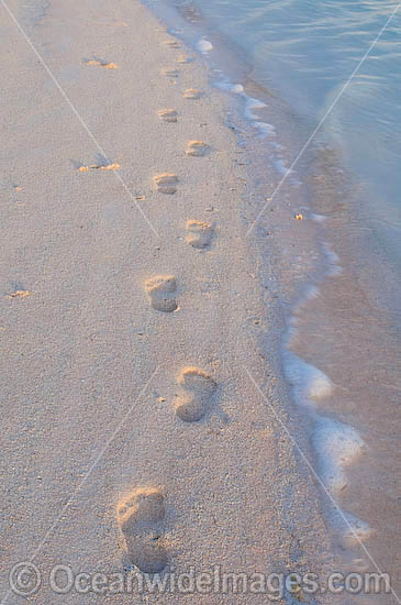 Footprints in the sand on a tropical island beach. Cocos (Keeling) Islands, Indian Ocean, Australia Photo - Gary Bell