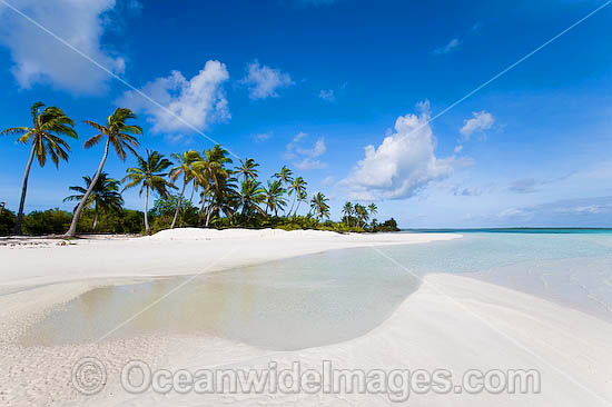 Tropical coconut palm fringed beach and crystal lagoon water. Cocos (Keeling) Islands, Indian Ocean, Australia Photo - Gary Bell Tropical coconut palm fringed beach and crystal lagoon water. Cocos (Keeling) Islands, Indian Ocean, Australia Photo - Gary Bell