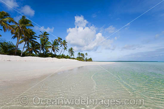 Tropical coconut palm fringed beach and crystal lagoon water. Cocos (Keeling) Islands, Indian Ocean, Australia Photo - Gary Bell Tropical coconut palm fringed beach and crystal lagoon water. Cocos (Keeling) Islands, Indian Ocean, Australia Photo - Gary Bell