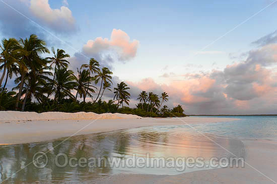 Tropical coconut palm fringed beach and crystal lagoon water at dawn. Cocos (Keeling) Islands, Indian Ocean, Australia Photo - Gary Bell