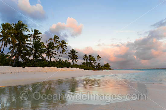 Tropical coconut palm fringed beach and crystal lagoon water at dawn. Cocos (Keeling) Islands, Indian Ocean, Australia Photo - Gary Bell Tropical coconut palm fringed beach and crystal lagoon water at dawn. Cocos (Keeling) Islands, Indian Ocean, Australia Photo - Gary Bell