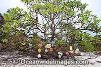 Fishing floats Cocos Keeling Islands Photo - Gary Bell