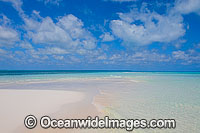 Tropical beach Photo - Gary Bell