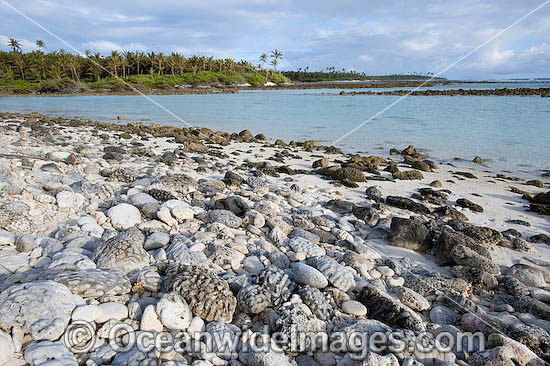 Tropical beach rock, comprising coral rubble, washed ashore on the high tide. Cocos (Keeling) Islands, Indian Ocean, Australia Photo - Gary Bell Tropical beach rock, comprising coral rubble, washed ashore on the high tide. Cocos (Keeling) Islands, Indian Ocean, Australia Photo - Gary Bell